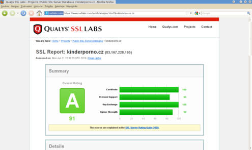 Výsledky měření bezpečnosti TLS/SSL